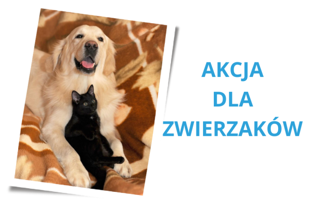 Na zdjęciu pies rasy golden retriver i czarny kot. Zwierzęta leżą na kocu w kolorze brązowym